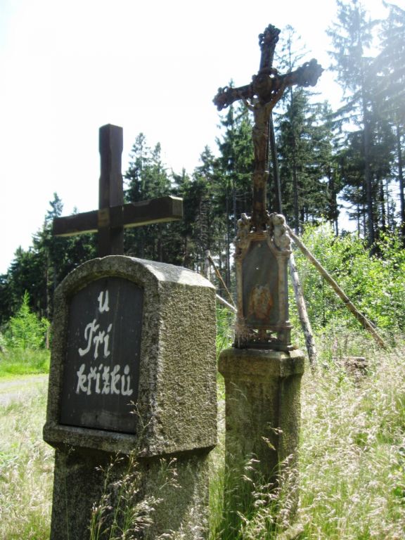 Bodlák luční: Krása a užitečnost neprávem opomíjené rostliny () Bodlák luční: Krása a užitečnost neprávem opomíjené rostliny