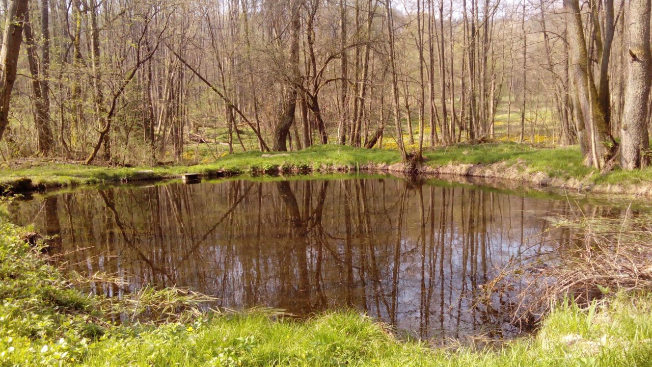 Bystřice - rybník